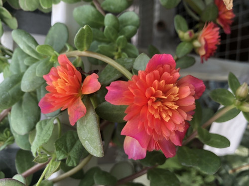 19 E0 E65433 2 F0 C 4 FF2 99 F1 F5 DCA5 A1700 F 1030x771.jpg