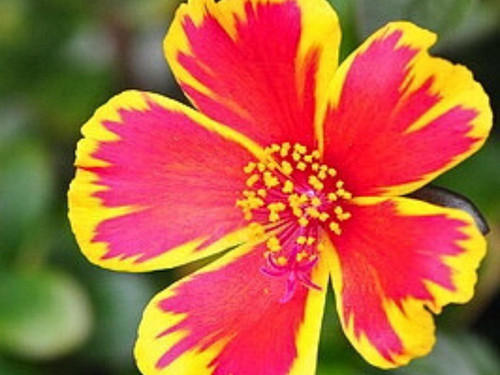 il 1588xN.6194738559 bc6h.jpg