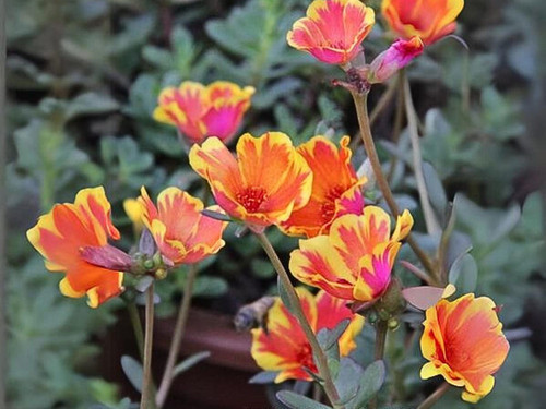 il 1588xN.6146641364 bn4i.jpg