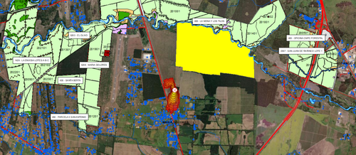 LA MONA Y LOS TILOS.png