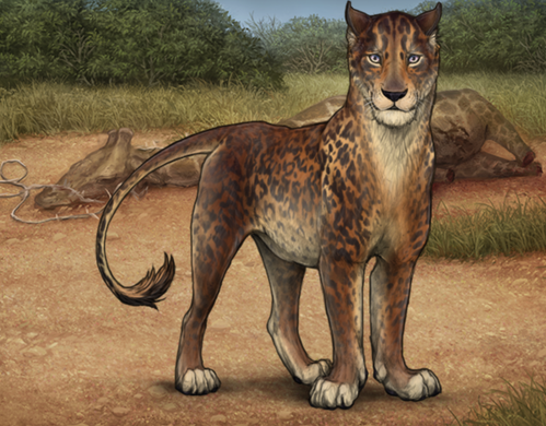 Screenshot 2026 03 19 at 12.21.52 PM.png