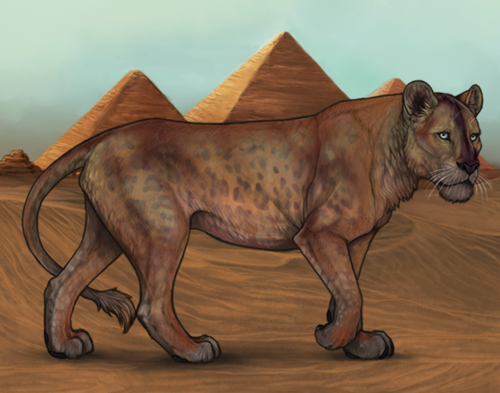 Screenshot 2026 03 19 at 12.19.31 PM.png