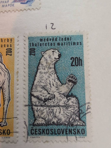ca33755c5086.jpg