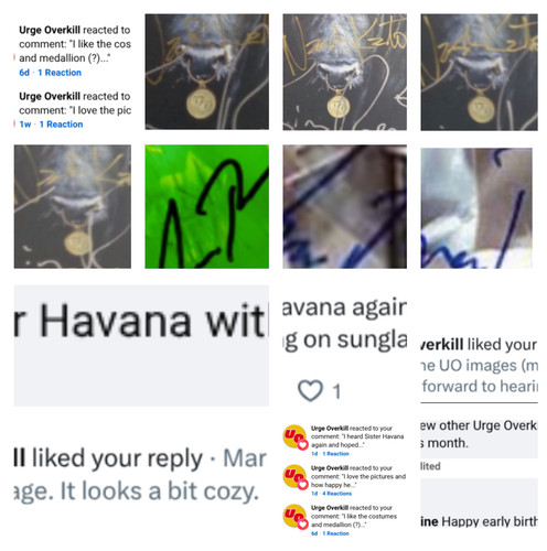 MixCollage 19 Mar 2026 12 05 PM 4676.jpg