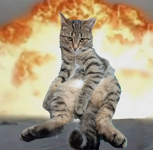 Screenshot 20260319 192039.jpg