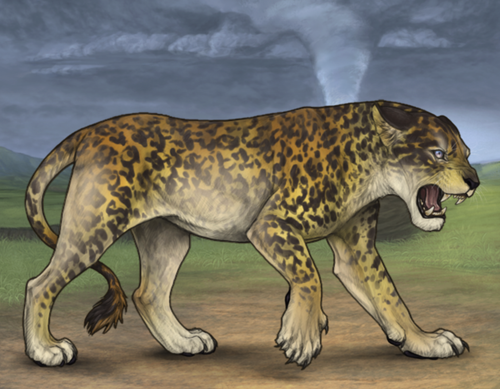 Screenshot 2026 03 19 at 12.24.46 PM.png