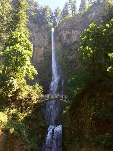 Tour Guide Multnomah Falls.jpg