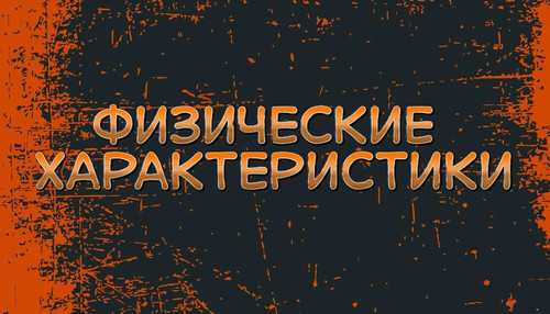 Untitled Project (41).jpg