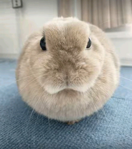 SmartSelect 20260318 004551 TikTok.jpg