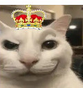 images%2Fimage 1772821463692.jpg
