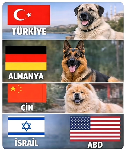 1000183724.jpg