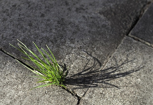 g7d76a4b43c2b1807208c70ac445775c43f21dd76beff905e4e161b9c83bc97b2e1d062943f4c3ca38805e873feb6ab05 64.jpg