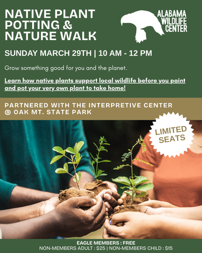 Native Plant Potting March 2026 (2).png