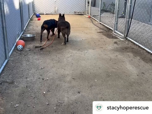 P6 WNS58DoMM1LeS.jpg