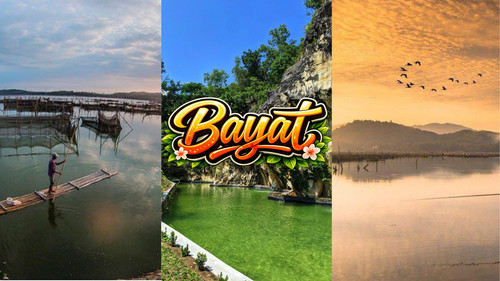 thumbnail bayat rev.jpg