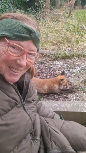 Anj 3L251oKSemAQ.jpg