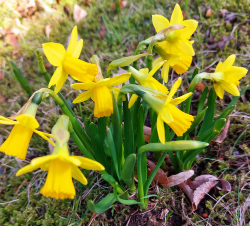 HCtQq8waUAA0Ha ?format=jpg.jpg