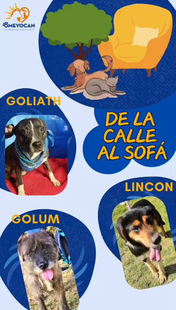 3 NMTsy8uKpO3w4U.jpg