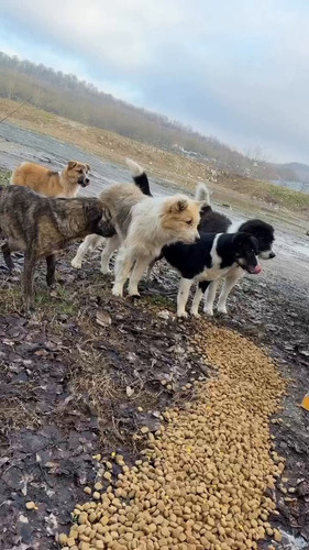 d2zySEavOjDXigf .jpg