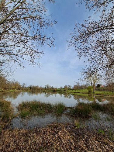 HCvPYT9WIAAEJ m?format=jpg.jpg