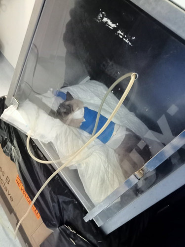 HCu4x LWMAAkKue?format=jpg.jpg