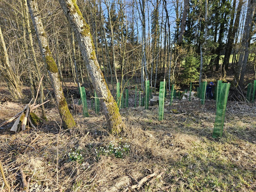 HCu eRTboAAvheZ?format=jpg.jpg