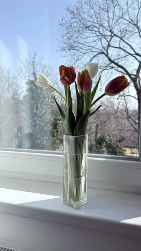 648183116 1357652926383497 4182442121003135444 n.jpg?stp=cp6 dst jpg p526x296 tt6& nc cat=100&ccb=1 .jpg