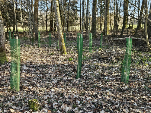 HCu eRyXEAApr5K?format=jpg.jpg