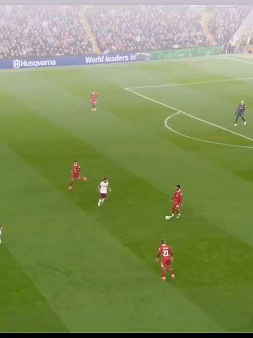 3ThRTLz haHG6xA0.jpg