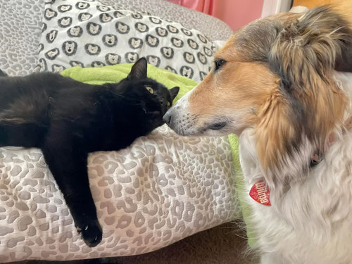 HCqcYB2bcAAPcS ?format=jpg.jpg