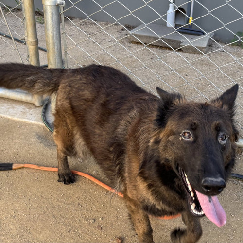 HAMuGN2XkAA 5am?format=jpg.jpg