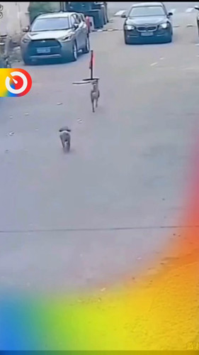 S6kVFQATQ9Za512 .jpg