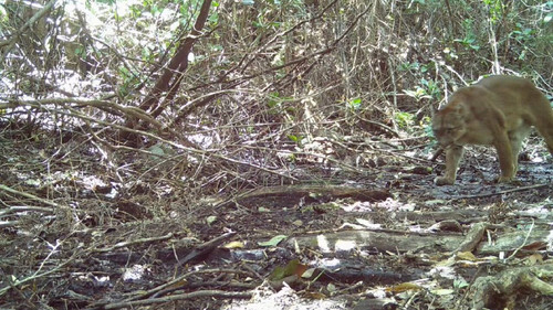 iCnN N mEeqZKmAD.jpg