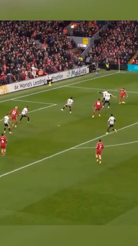 yQTTzxE EIdx5z b.jpg