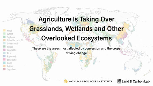 YO82N2r4SU ZeVr9.jpg