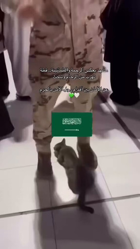 ThuToHqql XJy9eF.jpg