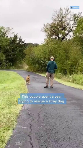 glN8 Wm1DKGDHr3l.jpg