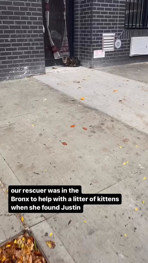 Qy1qPsN1Ov8H ywA.jpg