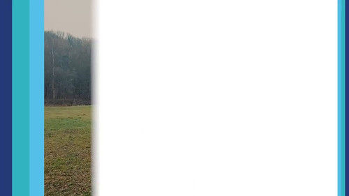 iNaiXIIBf7Nmo N3.jpg