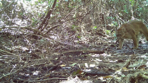 iCnN N mEeqZKmAD.jpg