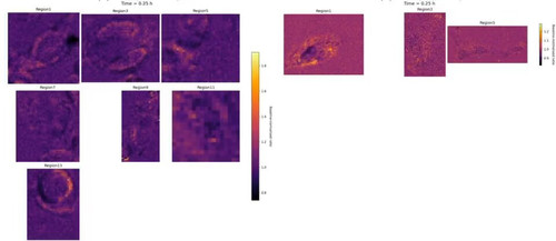 lBL2LqNeVM8An ZY.jpg