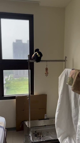 zx 4cgl8OQW taEC.jpg