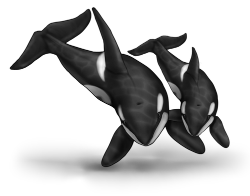 orca neut f.png