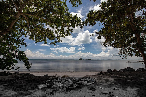 g9faa3d5d5514ecb4612fca488c27237e9f5a1b3cace6e99ffbdd098af8faa36141d0927d2c384fae4f19d9b62f8892cf 64.jpg