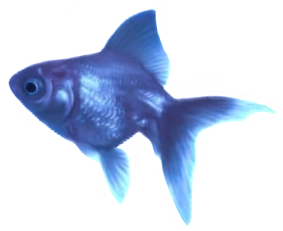 image 1772824953519 edit 2270257166333909.png