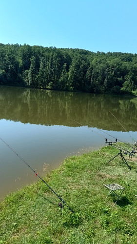 IMG 20240629 103019402 HDR.jpg