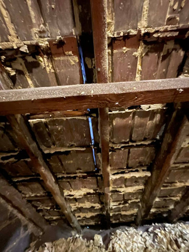 file 3 9d956ed1 564d 4dcf abcc f839db928f5a.jpg