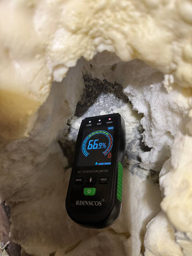 file 7 8d7beb40 1cb5 4fa1 90a0 64bca6617c31.jpg