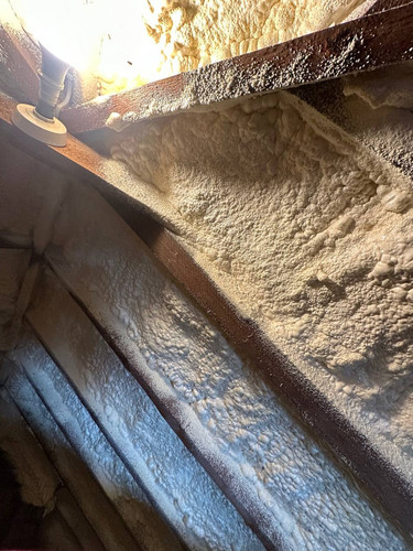 file 28 95145980 e0cb 4310 9883 35ca038215e0.jpg