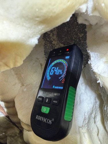 file 8 0250cc81 edba 424a aa13 e094143661a7.jpg